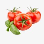 Tomato